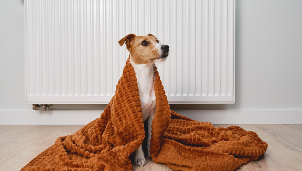 Tips for Efficiently Heating Your Home This Winter