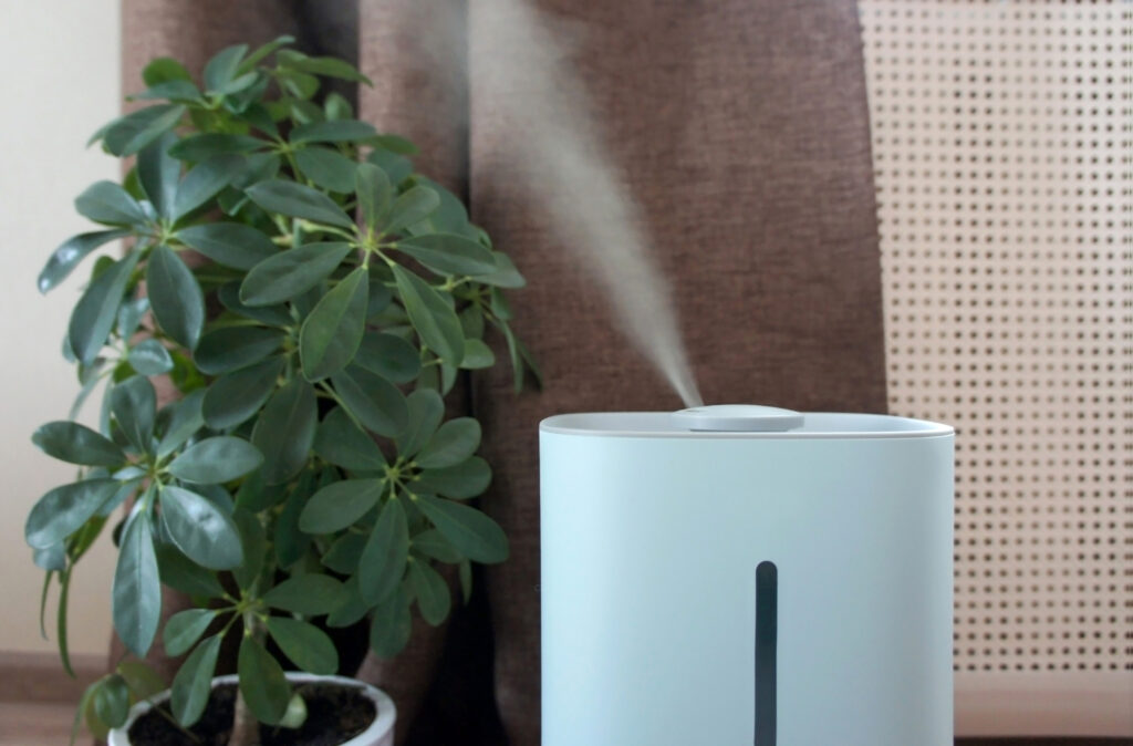 Air humidifier on the floor of a living room, in front of a potted green house plant and a beige curtain.